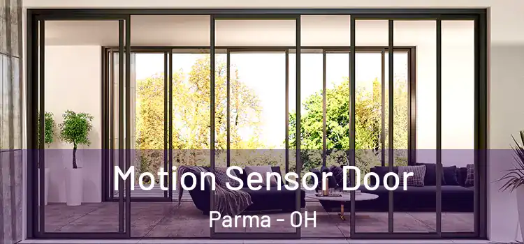 Motion Sensor Door Parma - OH